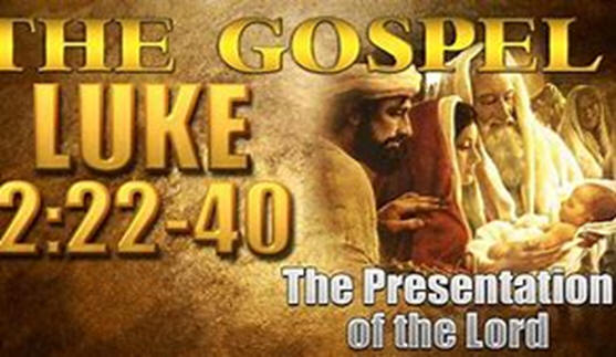 the Gospel of Luke 2:22-40